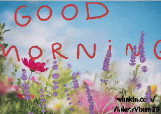 giphy-downsized-medium