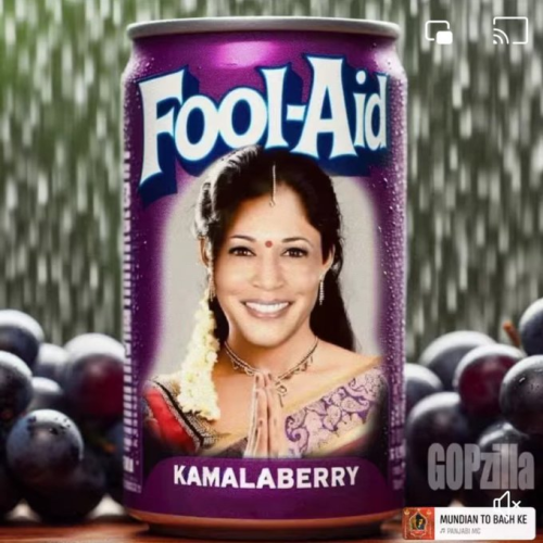 image_2024-08-14_060718958