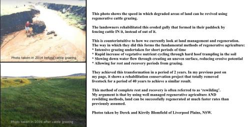 453378971_1114608523359606_297849021263824679_m