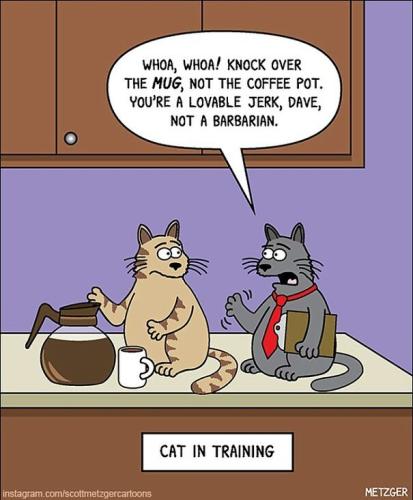 cat-comics-scott-metzger-61-5fb77cda22cac__605