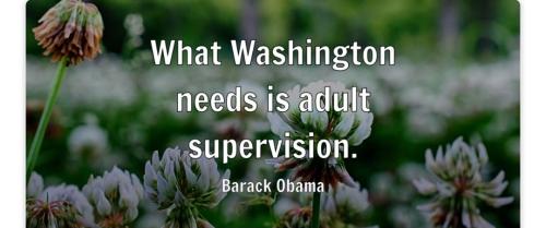 Screenshot_20240820_091831_DuckDuckGo