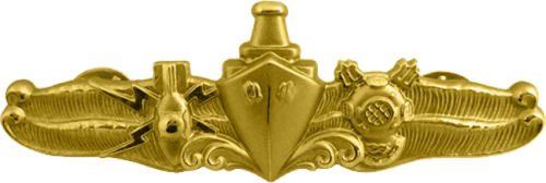 Navy_SPECOPS_Warfare_Insignia (1)