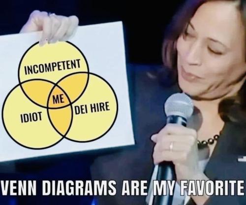 image_4C231F64-79C6-46BA-9E97-CAB4EE86C682