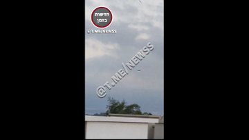 GVzGtvia8AMaWZo