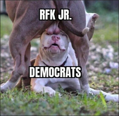 robert f kennedyjr10