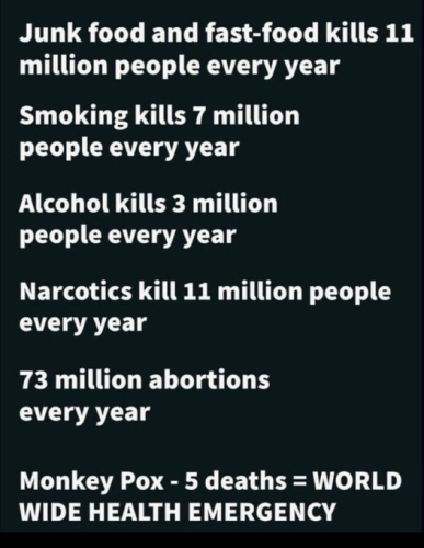 image_2024-08-15_062950561