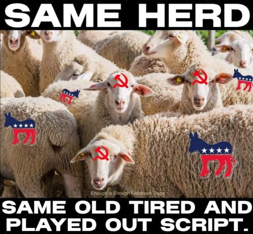 image_92AD932B-7B26-49EA-A7C9-1CB8755F5175