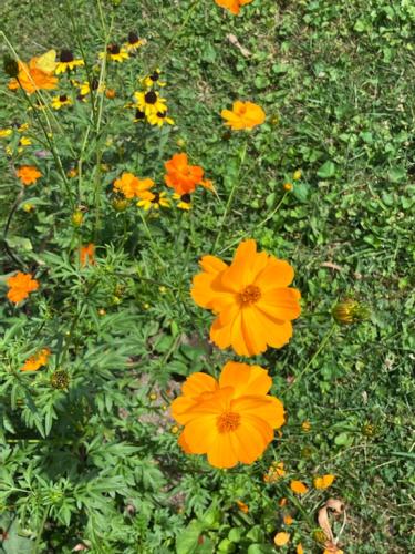 718BC83F-5916-41D3-8DCB-6DD438CC0D89