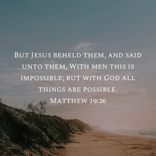 b91857fa-cdd7-406e-80c3-bae5b56d76bd