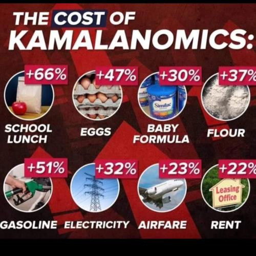 FB_IMG_1724513241827