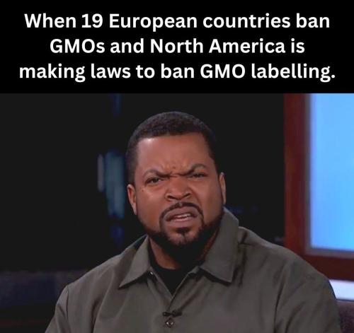 IMG_20240823_170205_961