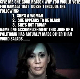 kamala harris346