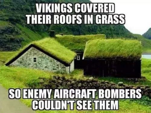 vikings