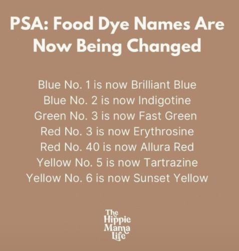 photo_2024-08-18_08-05-59