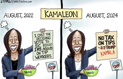 03-kamaleon-dt-1080-700x450