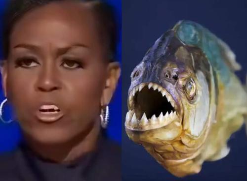 FB_IMG_1724332134488