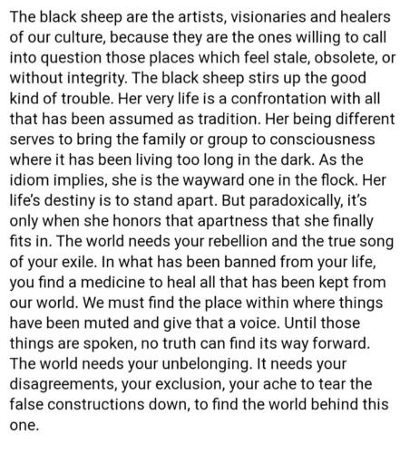 IMG_20240830_040630_987