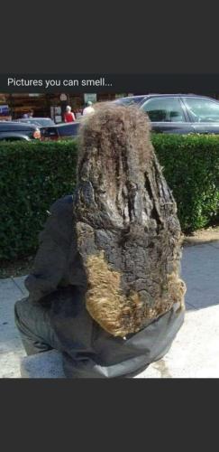 image_25A4A141-E1A0-4809-AF52-DC06EC7CFAE6