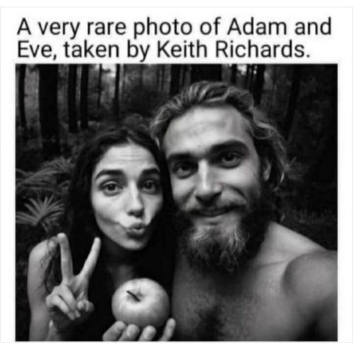 Screenshot_20240826_053644_Wimkin Free Speech Social Media