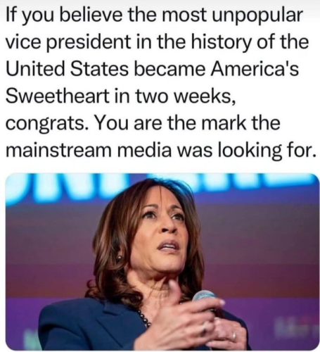 image_2024-08-13_062617127