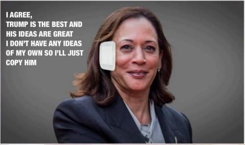 b6780b81-dfad-48c6-b050-ada6ef219f24