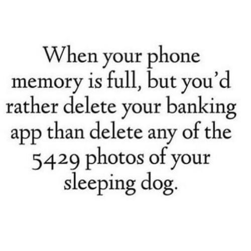 66a895c3a7f43_339998085_202165332545755_6492990360607473378_n__700