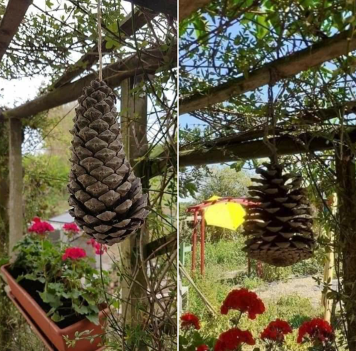 Screenshot_2024-08-10-22-50-56_kindlephoto-35053159