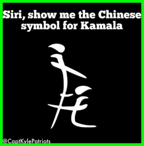 IMG_20240809_115823_824