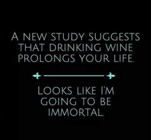 456478003_943237417820112_3645384431595846900_n