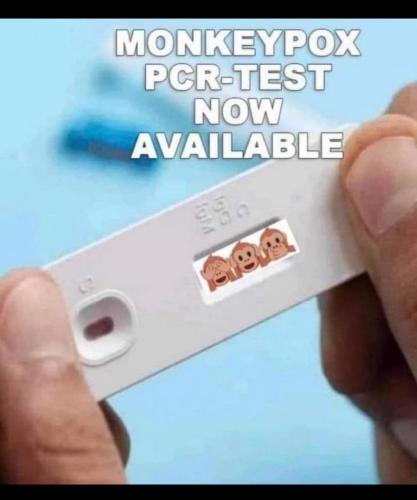 monkeypox test