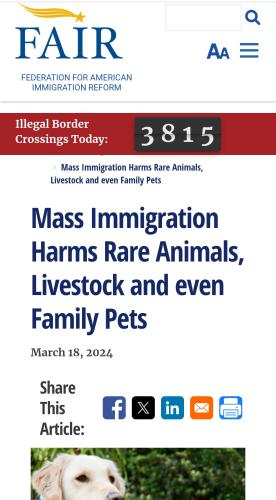 Screenshot_20240824_113115_Chrome