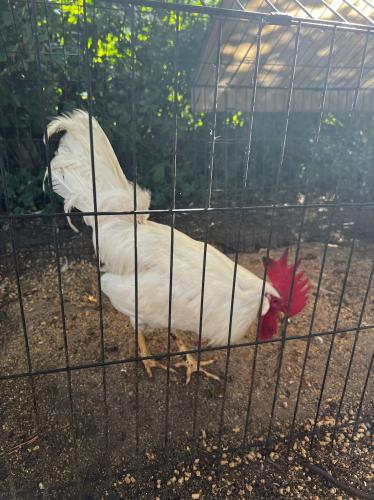 57EA8F63-134E-427C-B932-884B556D0EFB