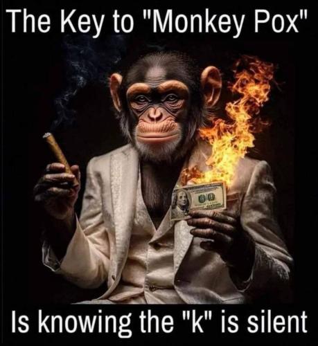 455694010_917645030403535_6289523485339382791_n