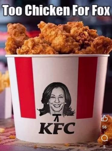 FB_IMG_1723055492562