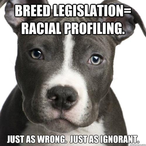 eb44167581d847b1aaf906867e875345