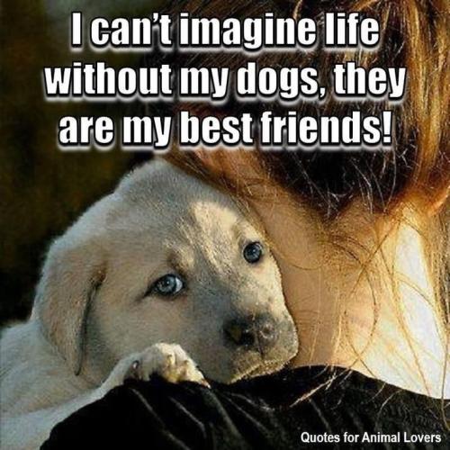 aa8b74e5ac0b564a6bedd99b5bd3b2de