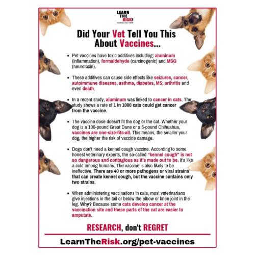 460181827_505684738740530_5192999864283256849_n