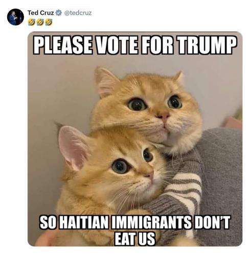 IMG_20240910_035454_526