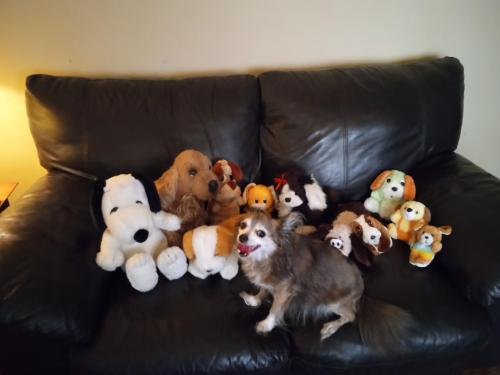 IMG_20230813_193804155