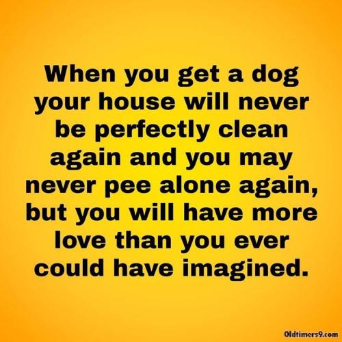 e08e288414b80985539c24671f5196d4