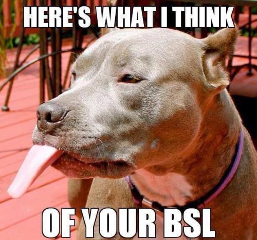 4089f246904fb934b641832086bb64b2
