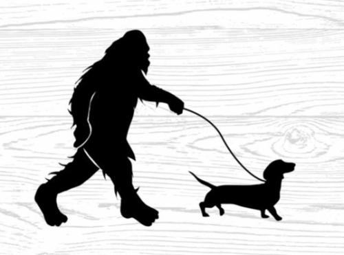 il_794xN.3790365706_pgx6