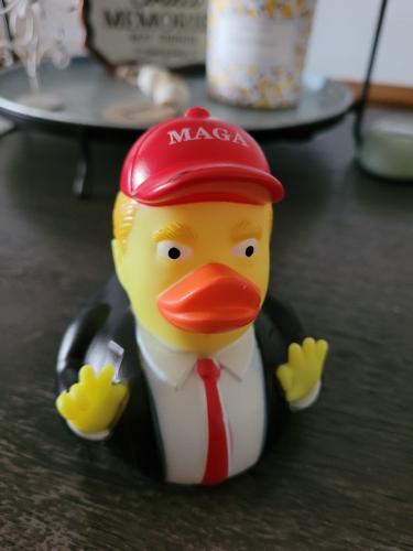 IMG_20240913_154207_157