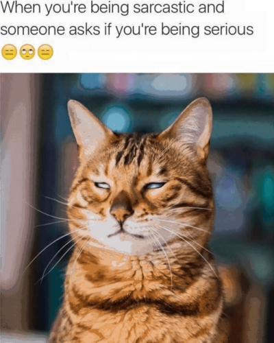 being-sarcastic-and-someone-asks-if-being-serious