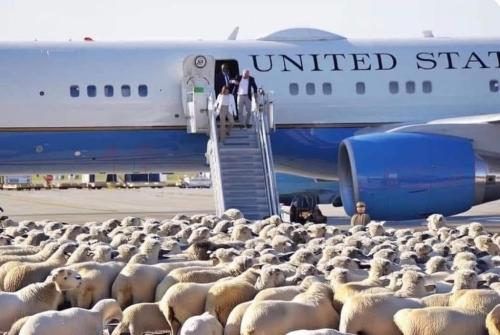 35f3dd4e-10e2-4133-9885-9609177710e7