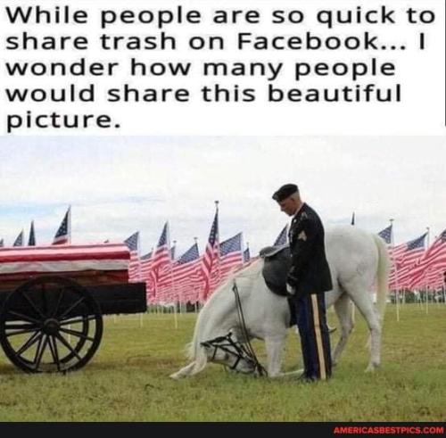 86e8a113aa524a0a007218c52152ae191a853d1c2a7199235fa599a220916fd1_1