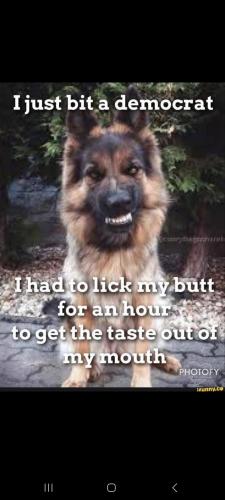 Screenshot_20240904_192302_Telegram