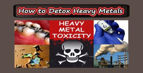 ! How to Detox Heavy Metals