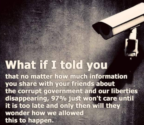 image_2024-09-01_085520995