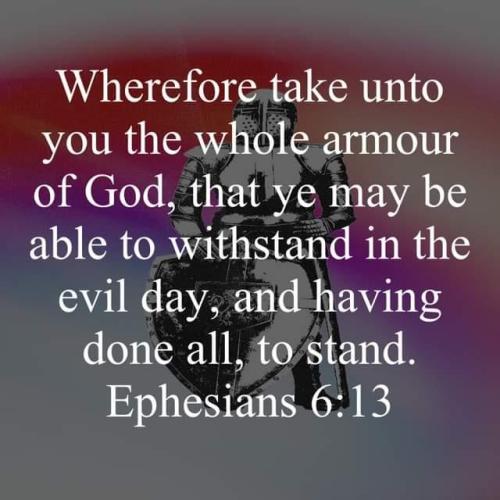 6bdac533-7f3b-4834-a736-3bf72cfdc3e4